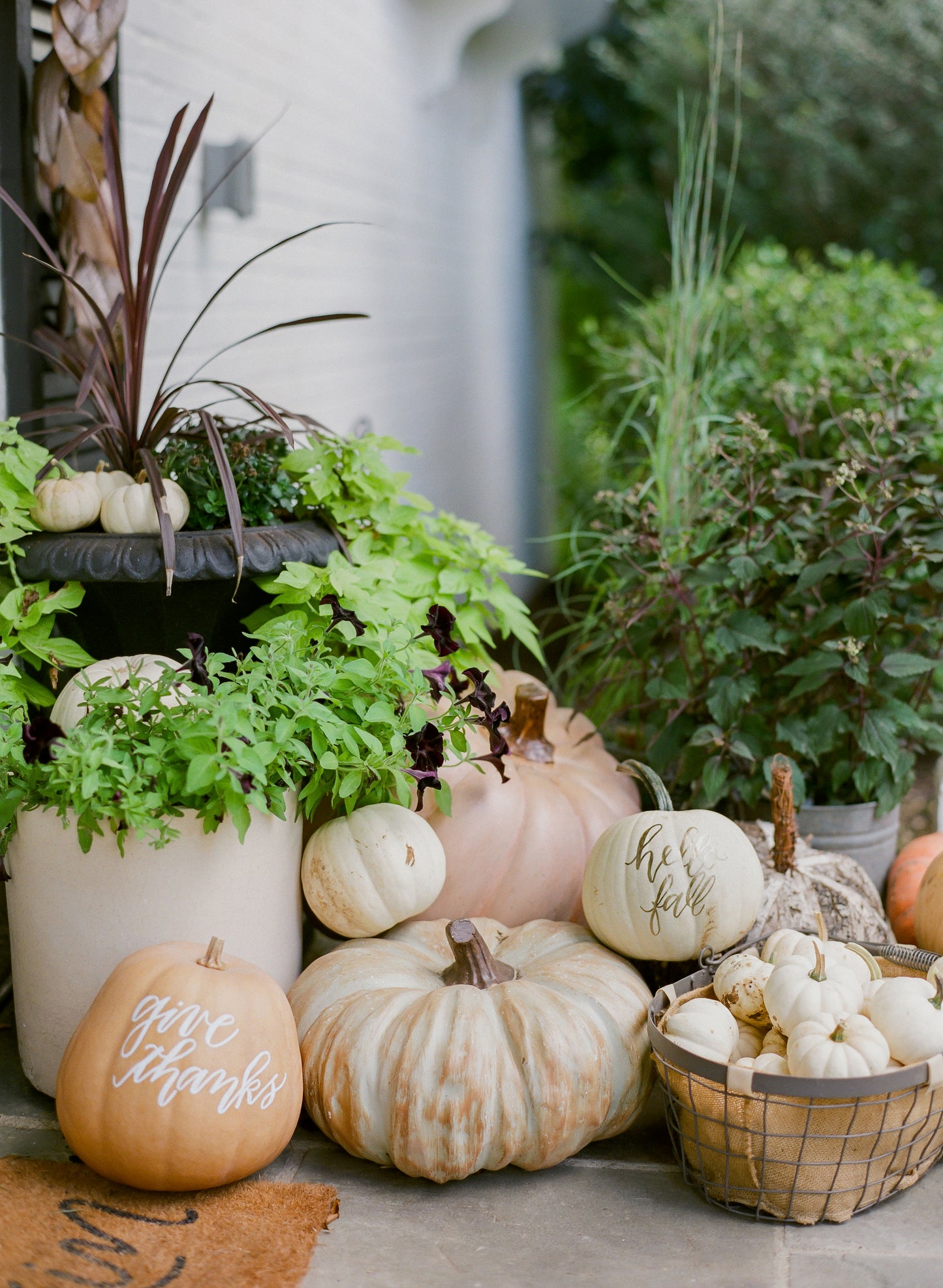 Porch Pumpkin Front Door Service - Mini